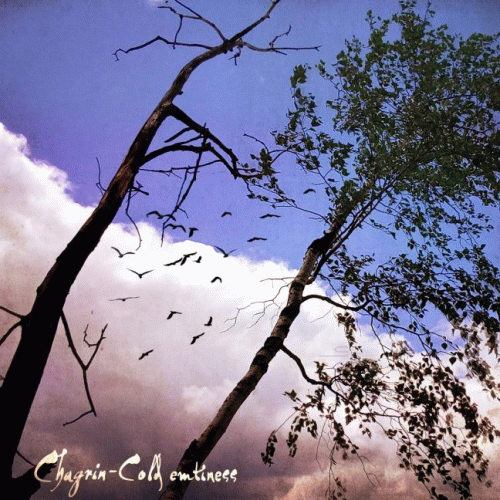 Chagrin (AUS) : Cold Emptiness